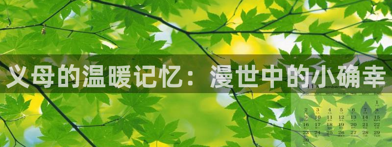 91动漫在线免费看