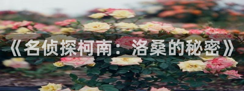 91动漫在线观看