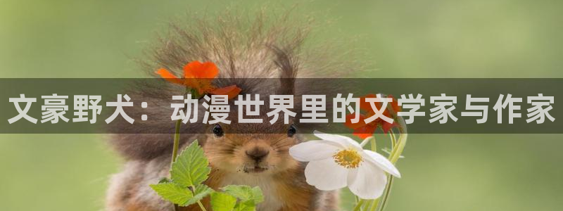 91动漫不用下载